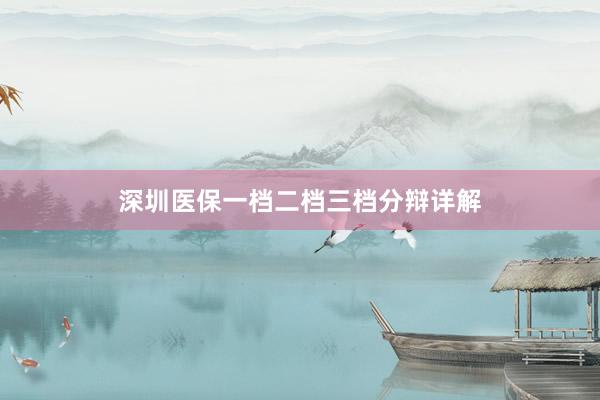 深圳医保一档二档三档分辩详解