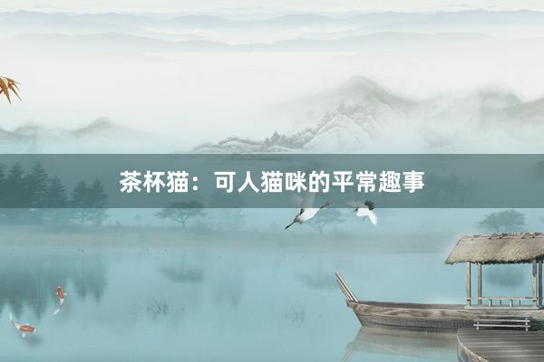 茶杯猫：可人猫咪的平常趣事