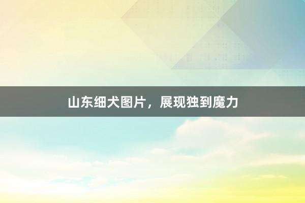 山东细犬图片,展现独到魔力